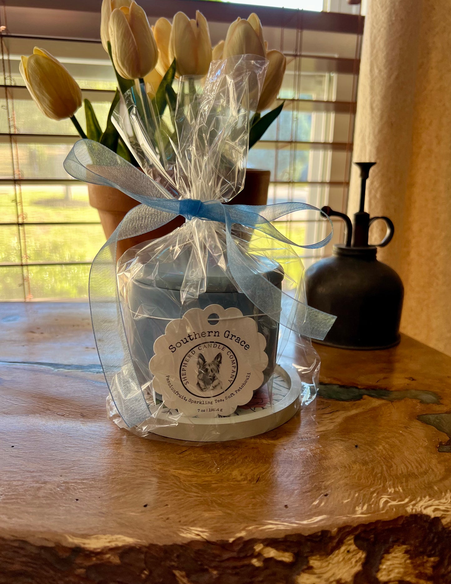 Southern Grace - Concrete Candle Set